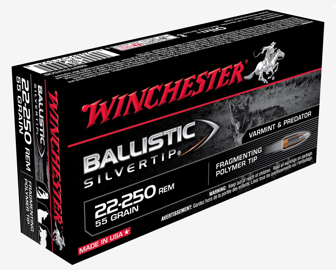 Winchester Repeating Arms Winchester Ammo Sbst22250B Ballistic Silvertip 22 250 Remington 55 GR Polymer Tip 20 Bx 10 Cs