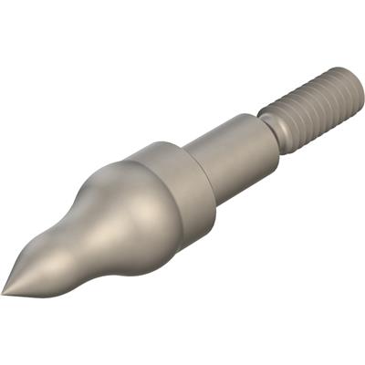Gold Tip GOLD TIP EZ-Pull Point - .246 100Gr - (5/16")
