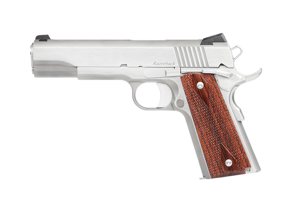 DAN WESSON RZ-10 1911 10mm 5" 9rd Pistol - Stainless | Cocobolo