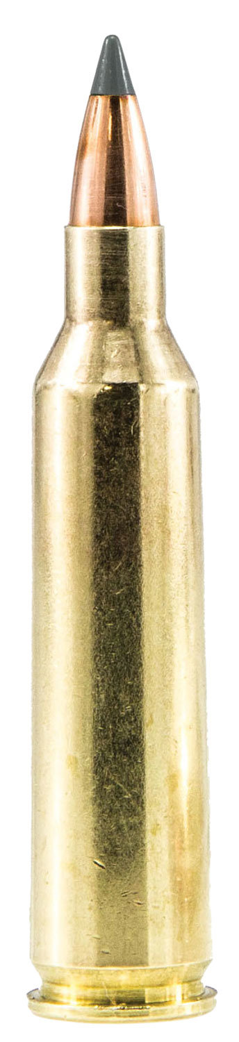 Sig Sauer SIG SAUER 22-250 Rem 40Gr Varmint & Predator 20rd Ammo