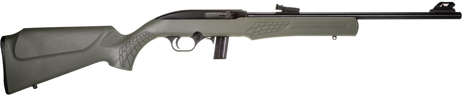 ROSSI RS22 22 LR 18in Black 10rd