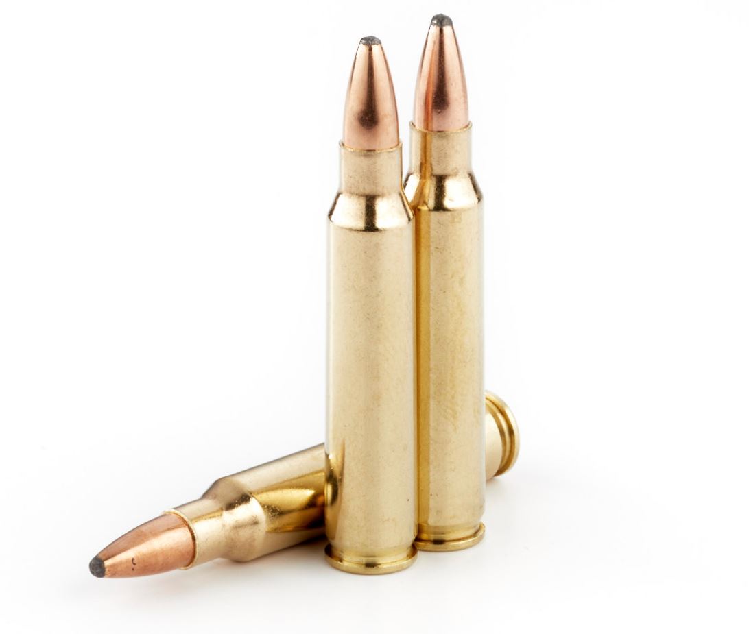 Wilson Combat WILSON COMBAT 223 Rem 55Gr Speer SP 2500 FPS 20rd