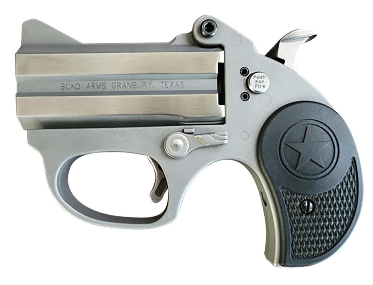 BOND ARMS Stinger 22LR 3" 2rd - Stainless / Nylon Grips