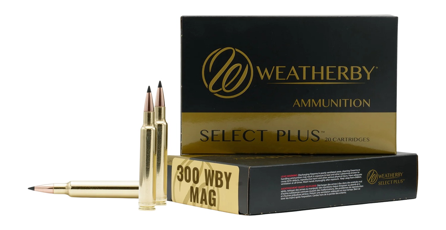 Weatherby WBY AMMO 300WBY 195GR HAMMER CUSTOM 20/10