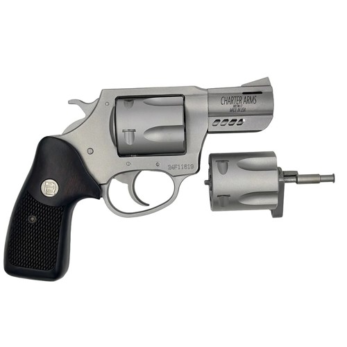CHARTER ARMS Mag Pug 357 Mag 22 5rd  Stainless