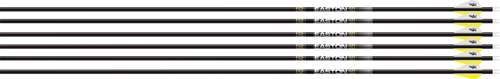 Easton Technical EASTON TECHNICAL 5.0 300 2" BLAZER VANES, W/50 GR HO