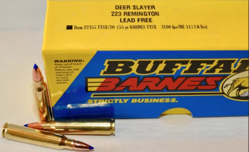 Buffalo Bore BUFFALO BORE 223 Rem 55Gr Barnes TTSX (3100FPS/ME 1173 ft) 20rd