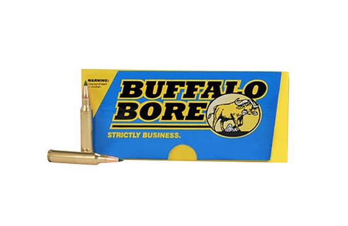 BUFFALO BORE 223 Rem 55Gr Polymer Tip 1 20rd