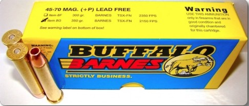 Buffalo Bore BUFFALO BORE 45-70 Govt 350Gr Barnes TSX-FN 2150FPS 20rd