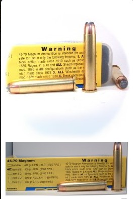 BUFFALO BORE 45-70 Govt 405Gr JFN (2000FPS/ME 3597 ft lbs) 20rd