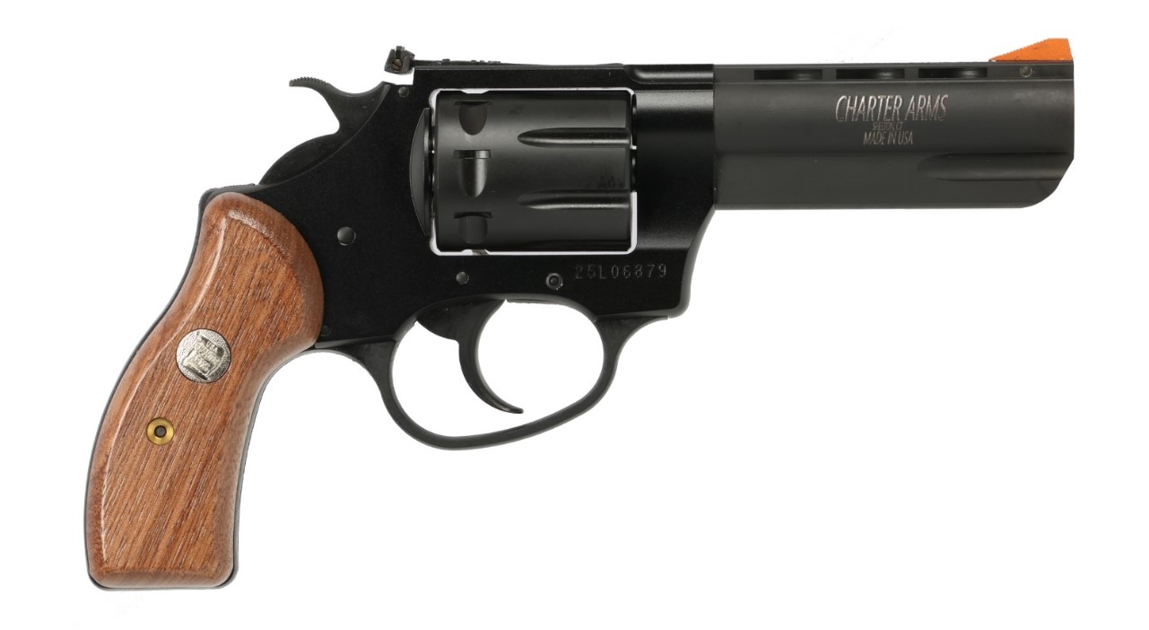 CHARTER ARMS Pathfinder II 22 LR 3.5" 8rd - Black