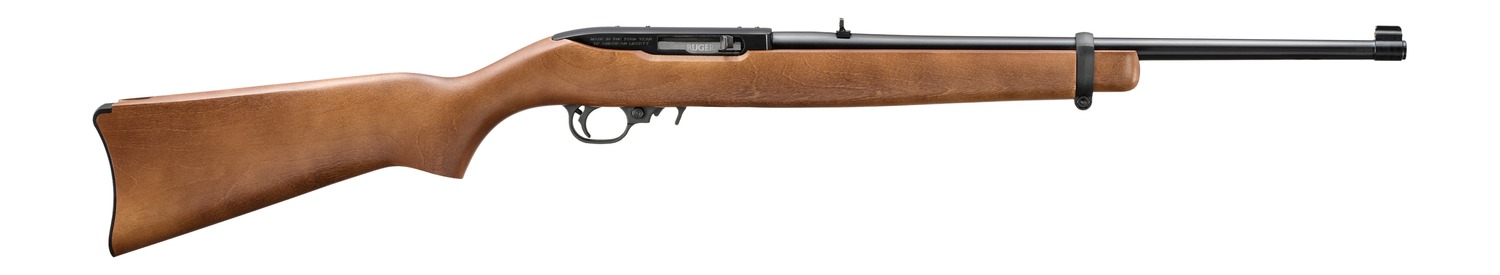 RUGER 10/22 22LR 18.5" America's 250th Anniversary - Blued