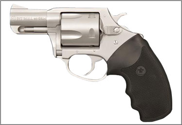 CHARTER ARMS Pitbull 40 Cal 2.3" SS 5rd